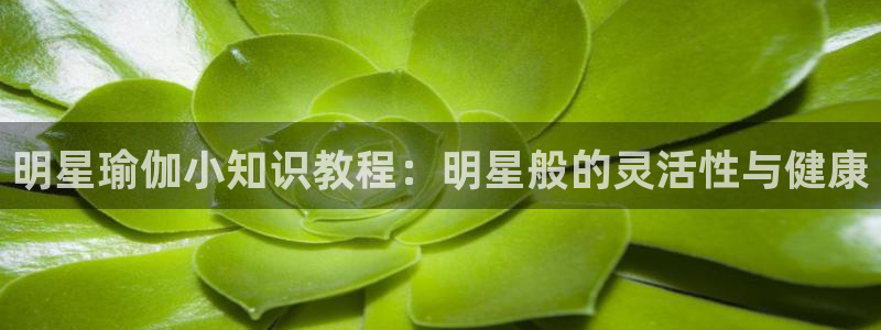 必赢棋盘8111